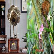New Chinese phonograph retro vinyl machine vintage vinyl machine old living room classical voice player ornaments