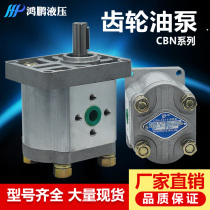 Hydraulic pump Gear high pressure oil pump CBN-F304 306 308 310 312 314 316 320 325
