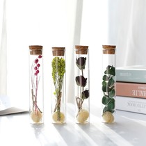 Test tube glass specimen dried flower forever flower home decoration props Nordic style ornaments wish dry vase friends send