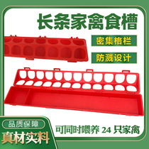 Goose seedling duck chicken seedling feed bucket slot splash-proof design pigeon quail feed tank automatic feeder basin supplies