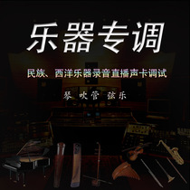 Professional tuner fine tune sound card debugging erhu guzheng pipa flute violin piano instrument rack software