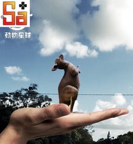 (Scheduled)Sagamore play Animal Planet kangaroo shake hand-made model