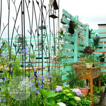 Like the tree │ outer single do old iron art Magnolia folding screen partition garden climbing tree home American village