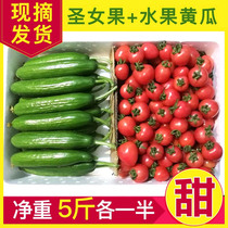 Saint's fruit cucumber 5 jin mixed with fresh tomato, cherry, tomato, fruit, cucumber, persimmon