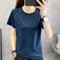 Quick-drying t-shirt short-sleeved womens summer outdoor loose version fitness yoga running large size sports quick-drying clothes half sleeve