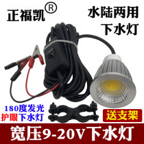 Positive Fokay 12-20V underwater light amphibious LED underwater light intense light waterproof night fishing fishing light trap lamp