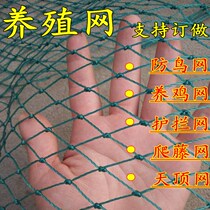 Poultry isolation net melon frame fence net thick chicken net poultry breeding net climbing vine Orchard net Orchard nylon net