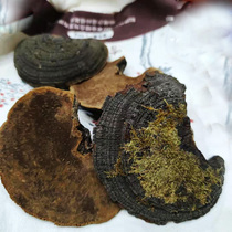 Shunfeng Yimatang authentic wild Phellinus Ganoderma lucidum nourishing the liver and protecting the liver to improve sleep insomnia and dreaminess 500g