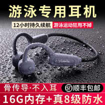 Yuanshi bone conduction swimming sports Bluetooth running headset 8 level waterproof non-ear bony feeling wireless wild cant get rid of its own memory integrated MP3 underwater listening song Special suitable for Shaoyin Apple
