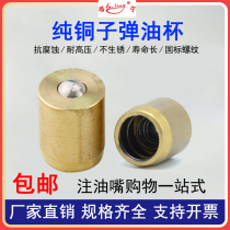 Pure copper bullet oil Cup brass oil nozzle press fit type oil filling Cup spring press type hole for M6810126 hole with butter nozzle