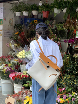 Whiterm Korean Version Early Spring New Fashion Canvas Woman Double Shoulder Bag Casual Backpack Large Capacity Single Shoulder Kylie Bag