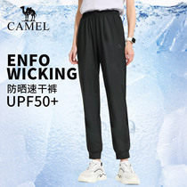 Camel Ice Silk Sunscreen Pants丨Outdoor quick-drying pants for men and women in summer thin section loose cool sports trousers