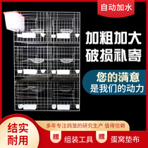 Thick large pigeon cage loft 6 12 pigeon cage breeding cage large household meat pigeon breeding assembly pigeon shed