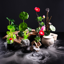 Hotel Japanese sashimi plate decoration flowers and plants dish decoration cold dish decoration plate creative dining plate decoration