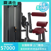 Original American Lijian LIFEFITNESS Brand Insignia Series Back Stretching Trainer SSBE