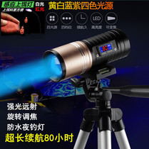 Night fishing light fishing light Intense Light Xenon Lamp Fishing 8000 High power Blue Purple Four Light Scorpion Lamp Special Flashlight