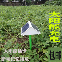 Ele Miao Sound Outdoor Solar Player Audio Rainproof Waterproof Frozen Music Loop Empty Card Player