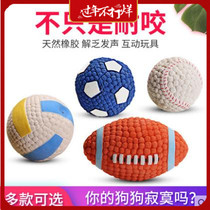 Hanma Ma recommends Yite pet sound toy Golden Hair Samo Nai Bite Teddy Interesting Training Ball