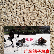 Pigeon Food Pigeon Pigeon Park Pigeon Special Pigeon Feed White Pigeon Food Piazza Pigeon Food Pigeon Food 2 Catty Grain