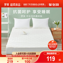 Rolaie Home Textile Mattress Protection Mats Dreamth Protection Hood Single Double Bed Student Dorm Washable antibacterial mattress