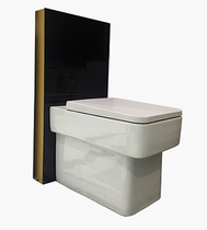 ARROW Bathroom bathroom wall-mounted toilet seat model AB2168