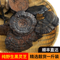 Guangxi deep mountains wild Ganoderma lucidum dry goods whole branches wild black Ganoderma lucidum purple Ganoderma lucidum can be sliced wine soup a catty