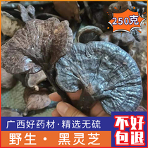 Guangxi pure wild black Ganoderma lucidum dry goods whole branch black Ganoderma lucidum purple Ganoderma lucidum wine pure natural Ganoderma lucidum 250g