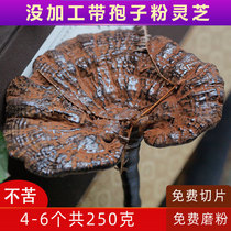 Ganoderma lucidum wild Yunnan deep mountain not bitter belt spore powder Linzhi whole Branch Wild Zhi half wild purple lucidum 250g