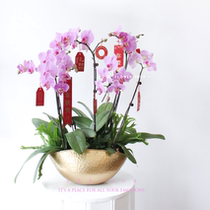 New Chinese handmade gold wrought iron cornucopia Phalaenopsis flower arrangement flower arrangement flower flower orchid flower pot round vase