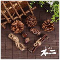 Retro style forest set Taobao photography props jewelry online shop shooting photo props 29