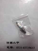 Logo motorcycle QP80T kisbee80 (NGK) motorcycle accessories spark plug