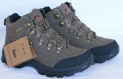 大自然骆驼图片