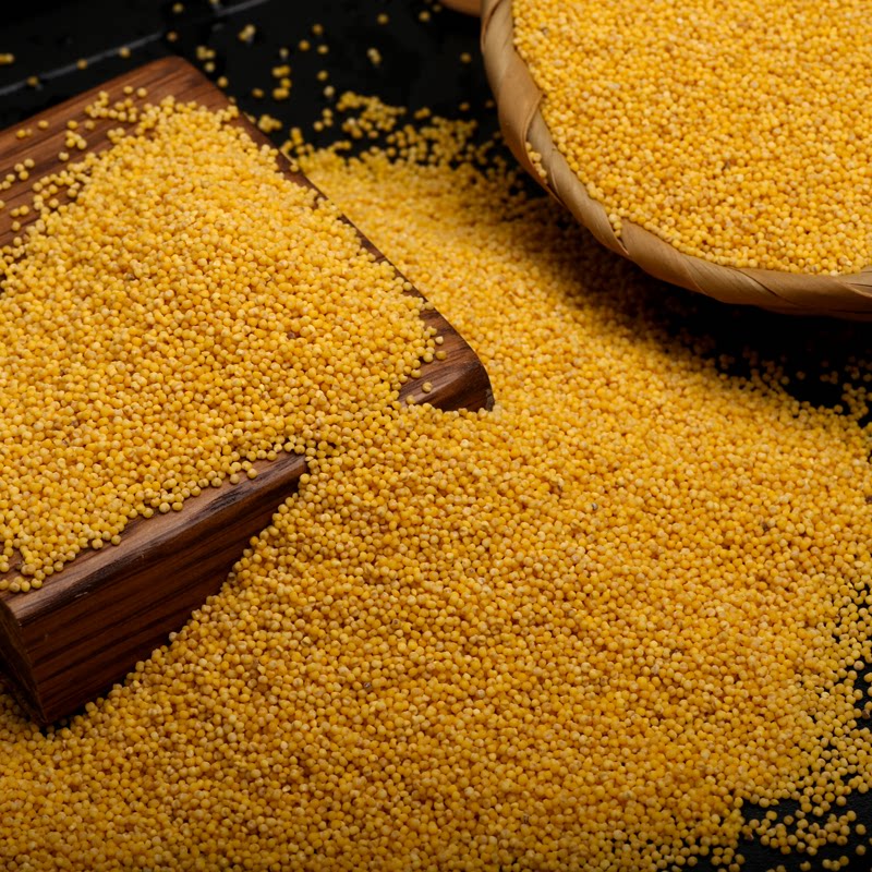 东北肇源小米 黄小米月子小黄米宝宝米熬小米粥400g 5件包邮