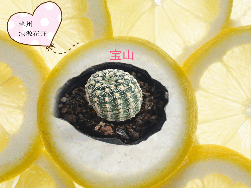 1024_768gif 动态图 动图