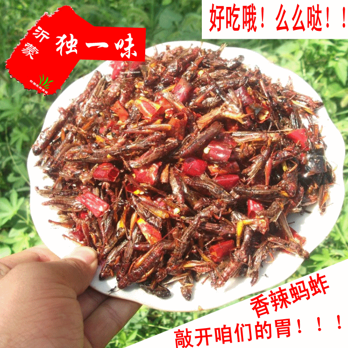 【天天特价】新鲜油炸香辣蚂蚱蝗虫昆虫蚱蜢沂蒙特产美食小吃蚕蛹