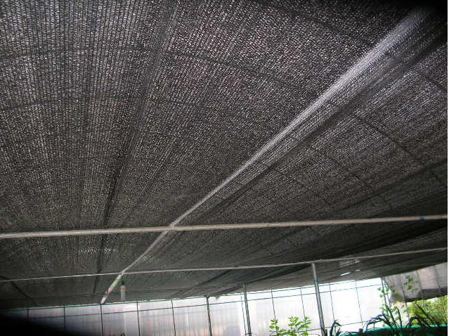 6针加密遮阳网遮阴网档太阳防晒.隔热网遮阳98%遮光网果树防鸟网