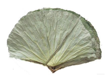 手工挑选整张干荷叶500g包邮原产印度天然大荷叶片减肚子荷叶块茶