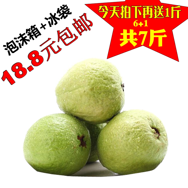 广西特产新鲜珍珠芭乐果园现发番石榴巴乐果7斤装农家水果包邮