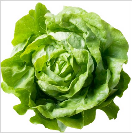 惠鲜汇 新鲜 波士顿奶油生菜 有机蔬菜 西餐沙拉250g 有同城配送