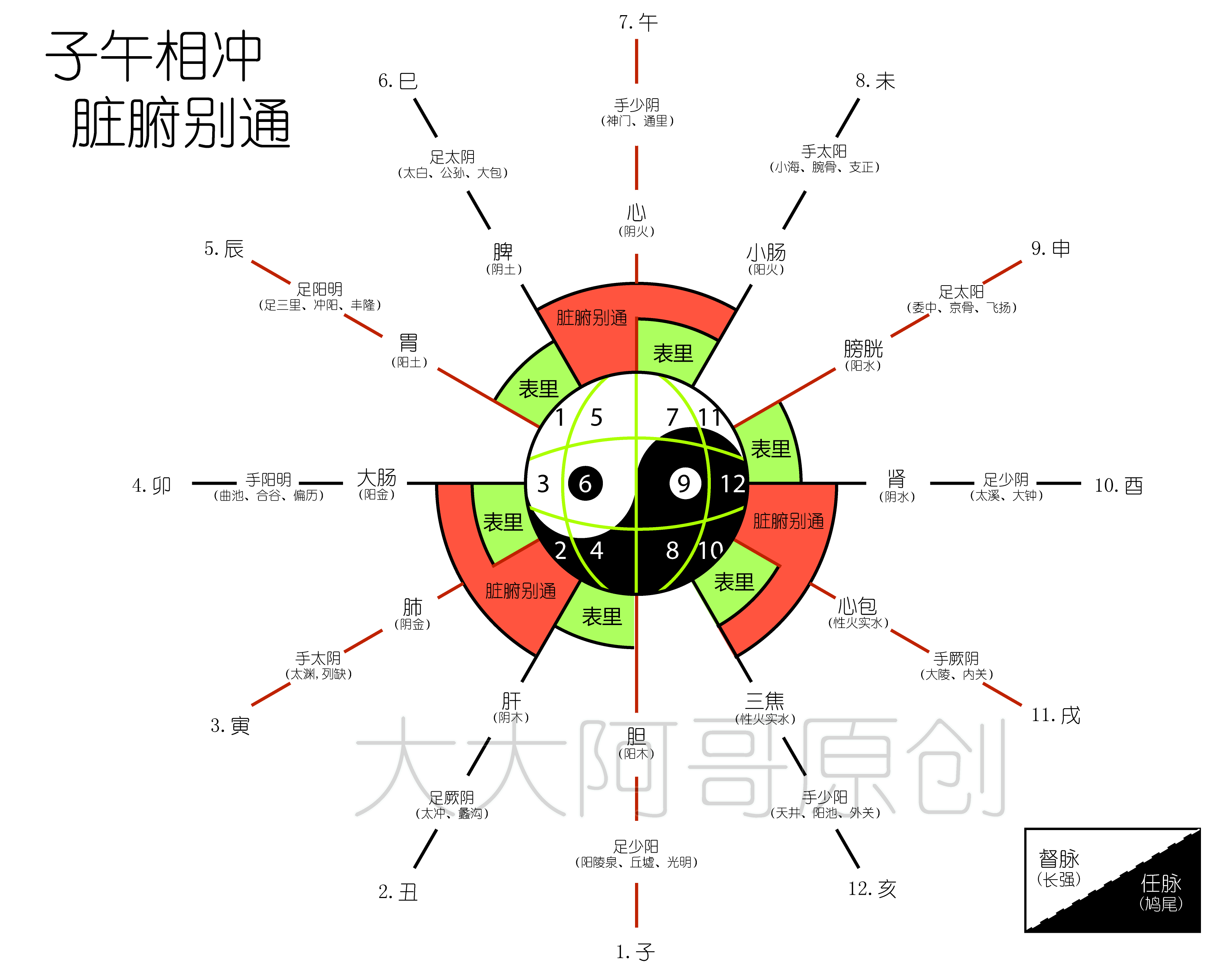 子午相冲脏腑别通图图片