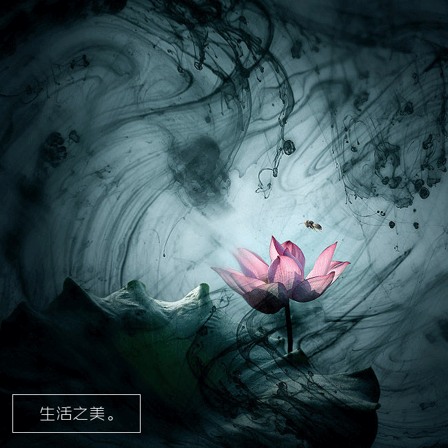 如梦醉浮生,浮华忘流年.随意而来小物件的聚集处与护肤无关