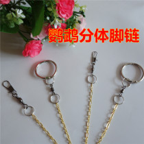 Parrot anklet split anklet tiger skin peony Xuanfeng starlings medium and large parrots can be used all copper rings
