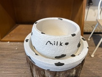 Muzi original hand-made coarse pottery fleshy flower pot Cute animal breathable raw stone flower PP meat cone