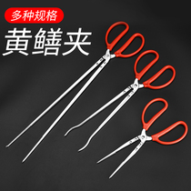 Clip of laminated finless eel lengthened non-slip yellow and good clip crab loach pliers clippers with finless stainless steel good fish clip