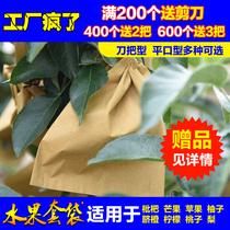 Loquat mango special bagging Peach bag Apple pear protection bag Yellow peach grapefruit fruit paper bag insect bag