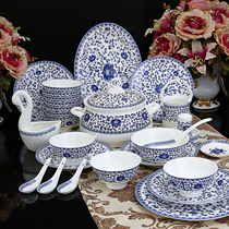 Jingdezhen glaze Zhongcai tableware High-end blue and white porcelain bowls Household ceramic bowls and plates Bone china bowls and dishes combination set