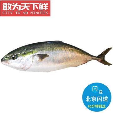 黄鰤鱼-黄鰤鱼促销价格、黄鰤鱼品牌 - 淘宝