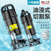 Famous Ilei Sewage Cutting Type Sewage Pump Pumping Manure Biogas Slurry Sewerage Pump Home Septic Tank High Power Cutting Pump