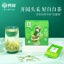 New product in 2021 new Tea Fangyu opened the garden to pick Anji good white tea official authentic alpine rare green tea