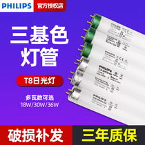 Philips tube 18W three primary color tube led fluorescent tube home vintage T8 super bright T5T8 fluorescent tube